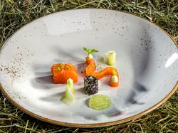 Gourmet dish with salmon, cucumber rolls, caviar pearls, and herb garnish on ceramic plate