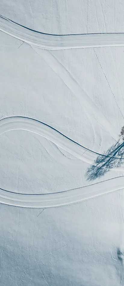 Curving snow-covered paths with bare trees casting long shadows in winter landscape
