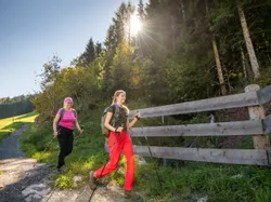Two women hiking with poles on a forest trail in bright sunshine