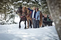 Horse sleigh Leogang