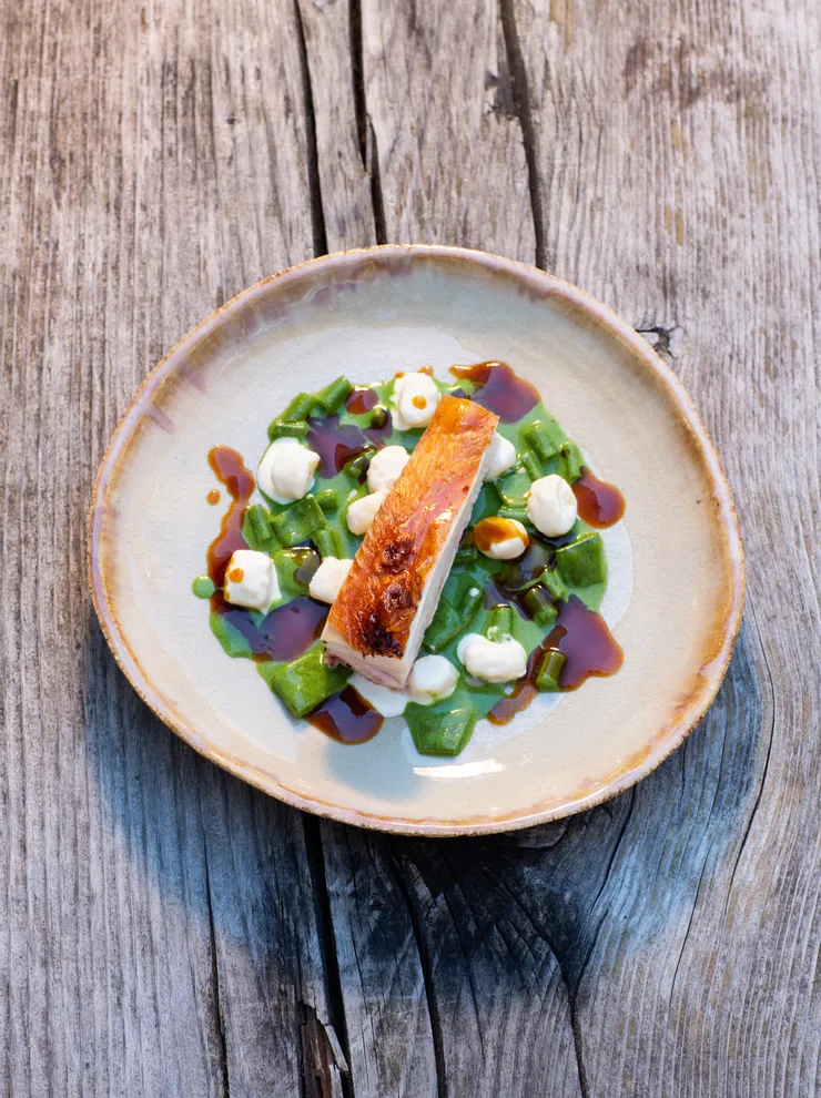 Roasted chicken breast on pea purée with cream dollops and sauce on ceramic plate