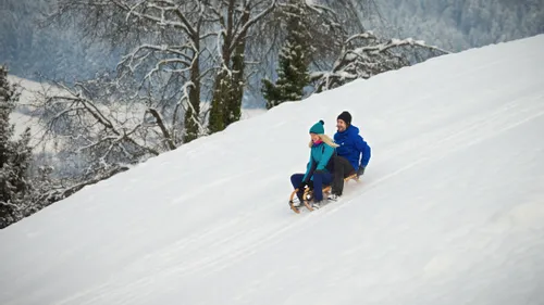 Couple sledding downhill on snowy slope in winter forest landscape