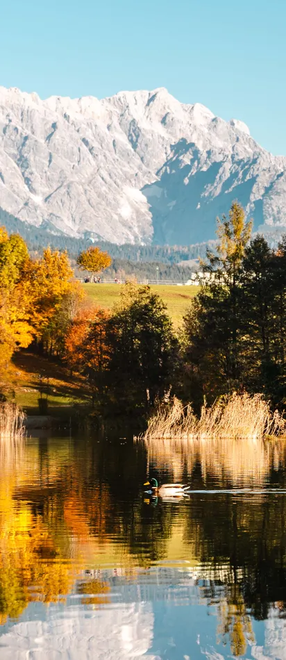 Herbst in Leogang Saalfelden