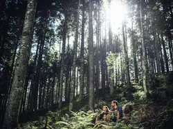 Couple sitting on forest floor among tall trees with sunlight streaming through