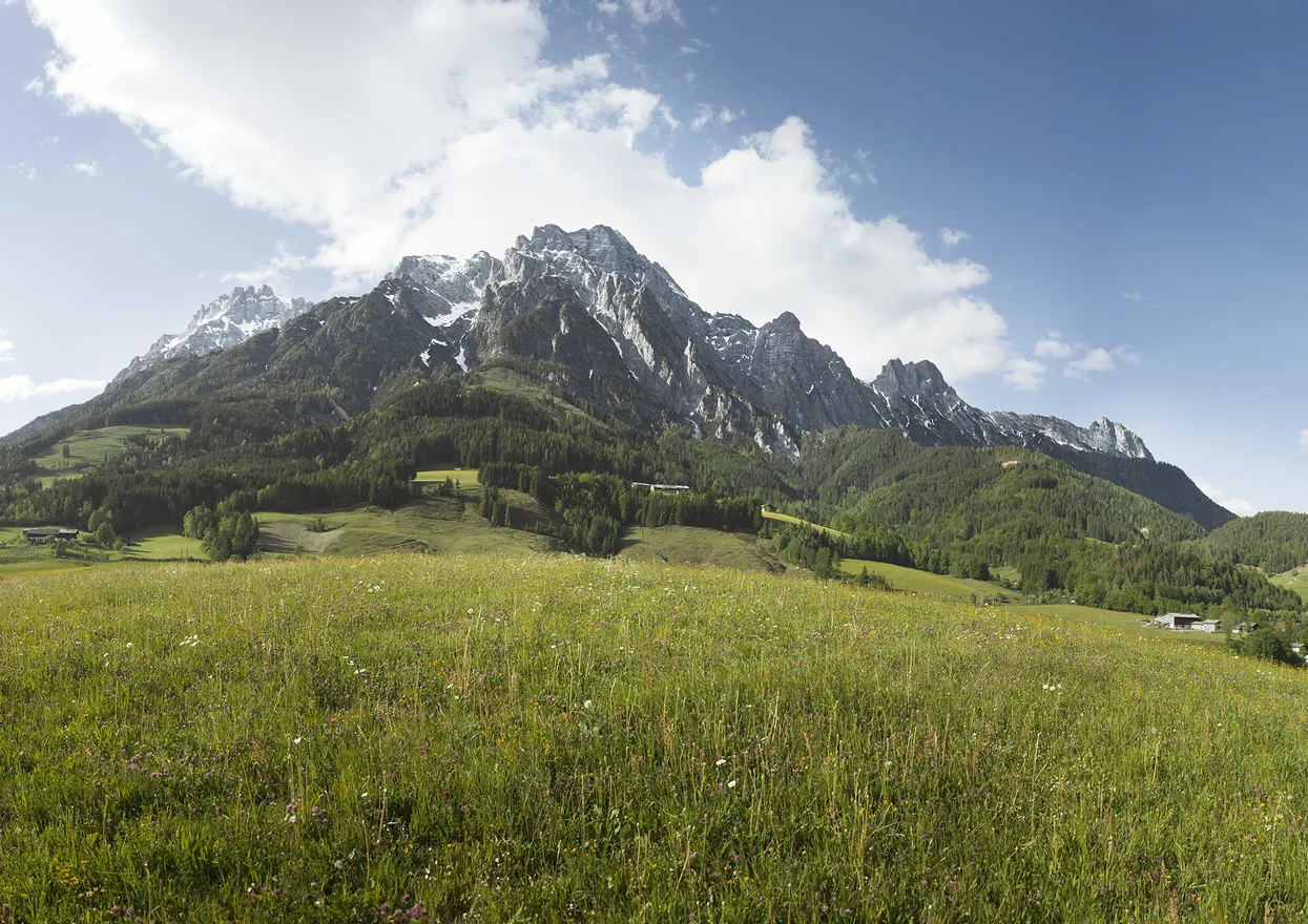 Leogang landscape in Saalfelden