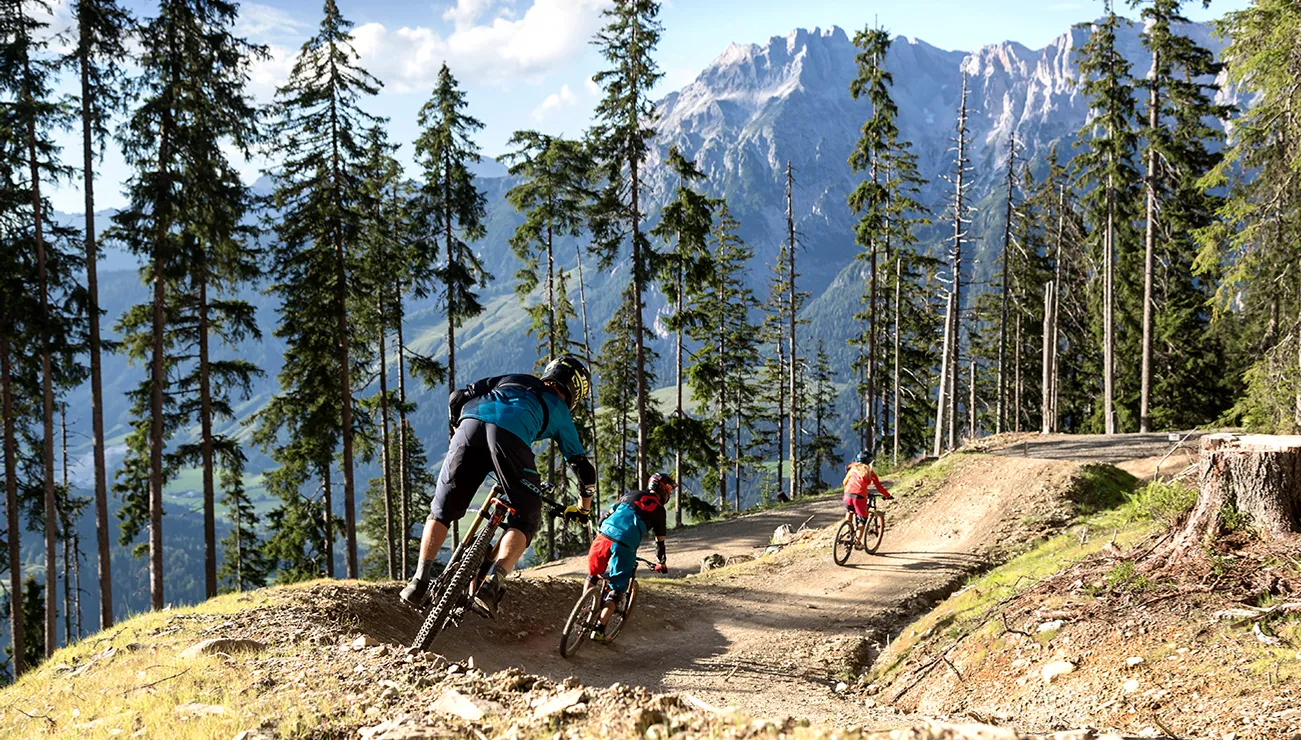Three mountain bikers riding downhill on a forest trail with alpine mountains in the background