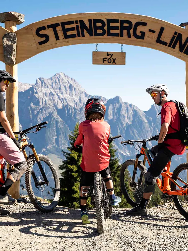 Bikepark Leogang Steiberg-Line
