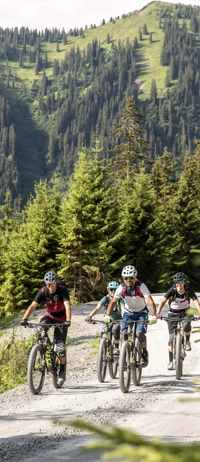 Gruppe von Mountainbikern fährt auf einem Waldweg in den Alpen