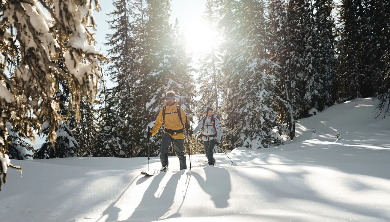 Two people snowshoe hiking through snowy forest in bright winter sunlight