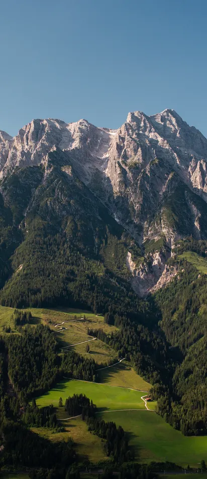 Alpine mountain range with forested slopes and rocky peaks under clear blue sky
