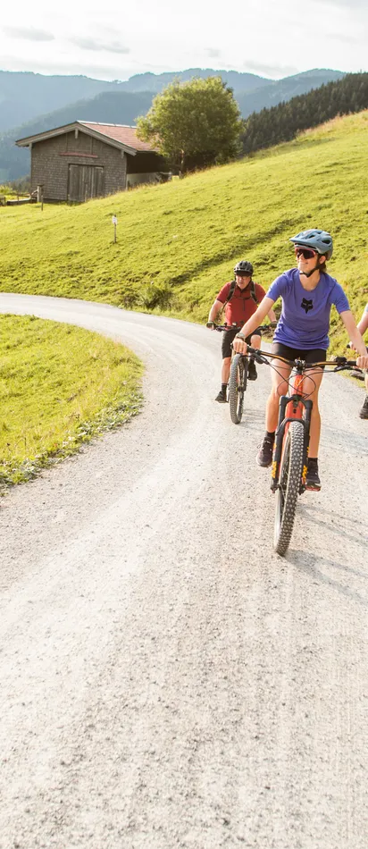 Group of cyclists riding mountain bikes on a gravel path through scenic countryside