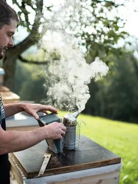 Imker benutzt Smoker neben Bienenstöcken in sonniger grüner Wiese