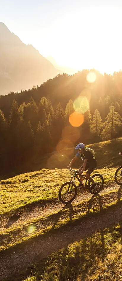 Mountainbiker fahren bei Sonnenuntergang durch eine Berglandschaft mit Nadelwäldern