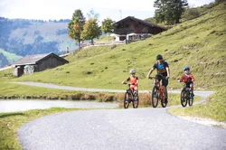 Family cycling on a winding mountain trail near wooden cottages in alpine landscape
