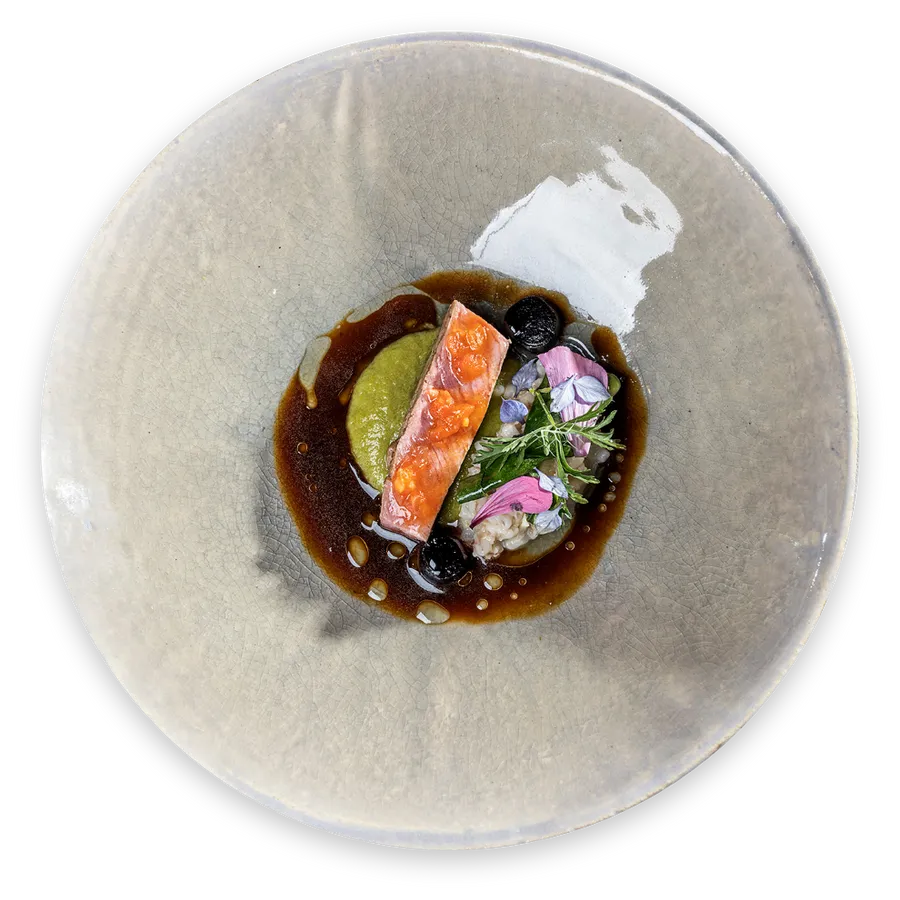 Gourmet-Lachsgericht mit Soße, Kräutern, Blüten und Püree auf elegantem Keramikteller