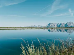 Klarer Alpensee mit Spiegelung der Berggipfel unter blauem Himmel und Gras im Vordergrund