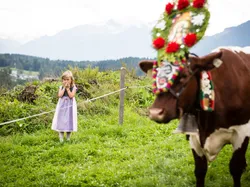 Girl in dirndl stands in meadow near colorfully decorated cow in Alpine landscape