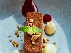Gourmet chocolate dessert with berry sauce, cream dollops, and mint on ceramic plate