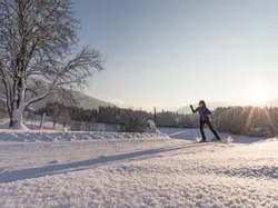 Cross-country skier gliding through snowy winter landscape at sunrise