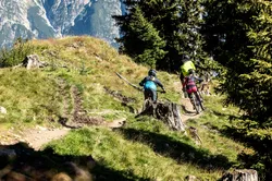 Bikeschule in Leogang
