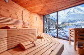 Mountain Spa Pine sauna