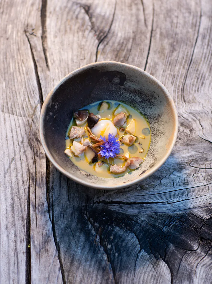 Gourmetsuppe mit Pilzen, pochiertem Ei und essbarer Blume in rustikaler Keramikschüssel