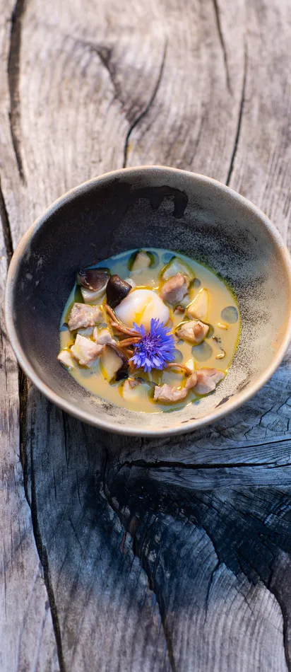 Gourmetsuppe mit Pilzen, pochiertem Ei und essbarer Blume in rustikaler Keramikschüssel