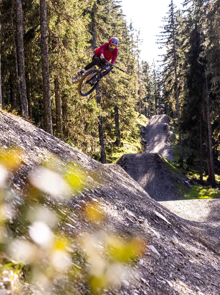 Mountain biker mid-air on forest trail jump surrounded by tall pine trees