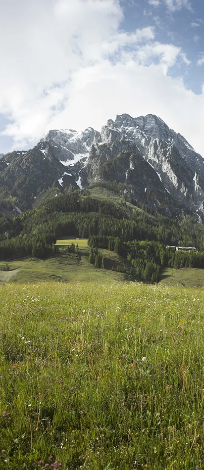 Leogang landscape in Saalfelden