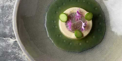 Gourmetgericht mit Gurkenscheiben, essbaren Blüten und grüner Soße auf Keramikteller
