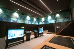 Indoor trampoline park with interactive gaming screens and wall art at Riederalm