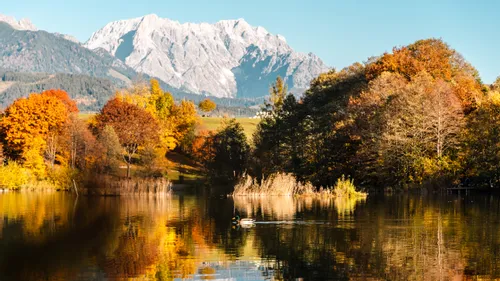 Autumn trees reflected in a calm lake with mountain range in the background