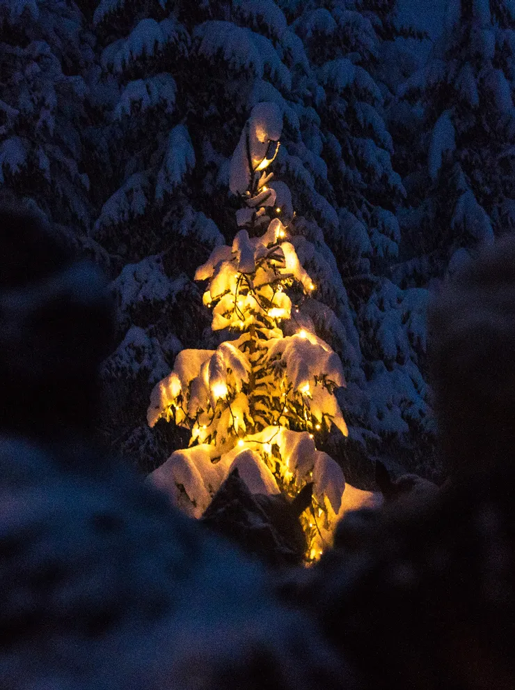 Advent in the Riederalm Leogang
