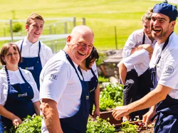 Gruppe von Köchen erntet frische Kräuter in einem sonnigen Außengarten