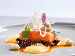 Gourmet salmon filet with foam, black beans, and microgreens on a white plate