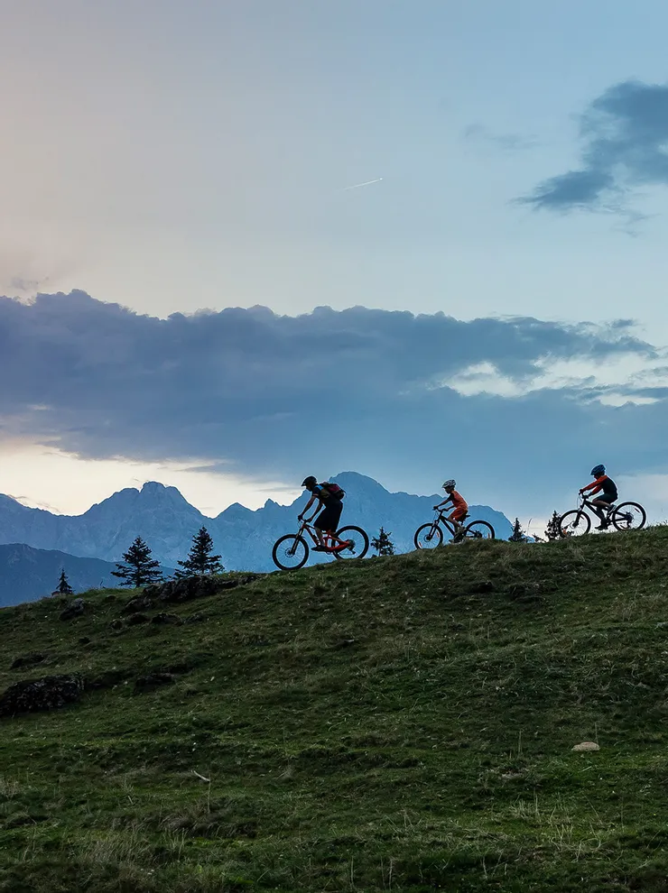 Griessner Almen Biking in Salzburgerland