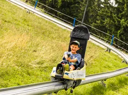 Lachender Junge fährt mit Sommerrodelbahn durch grasbewachsenen Hang