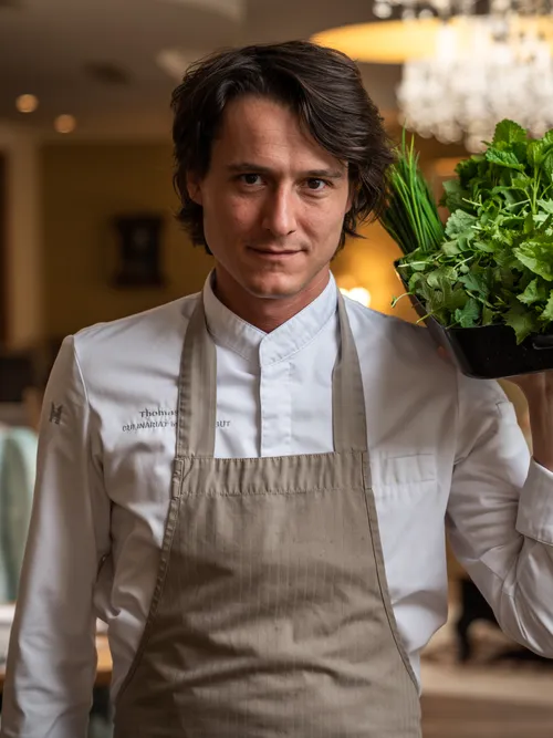 Koch mit frischen Kräutern in einem Restaurantinterieur hält Pflanzschale hoch