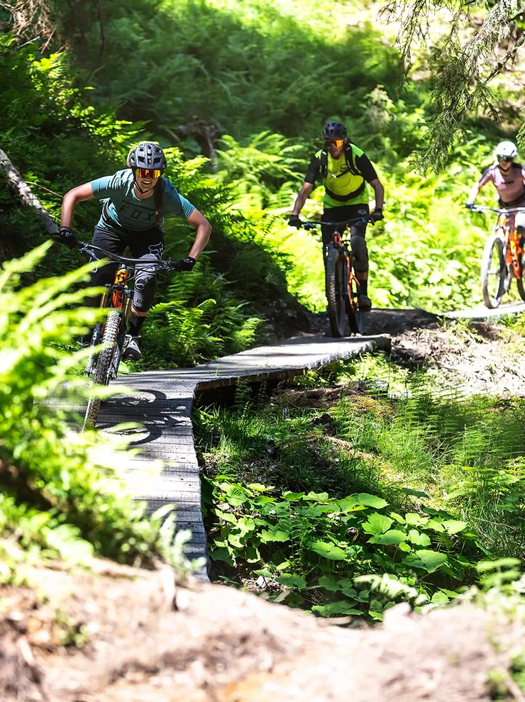 Group of mountain bikers riding on a narrow forest trail surrounded by lush greenery