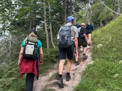Wandergruppe mit Rucksäcken auf einem Waldweg bergauf