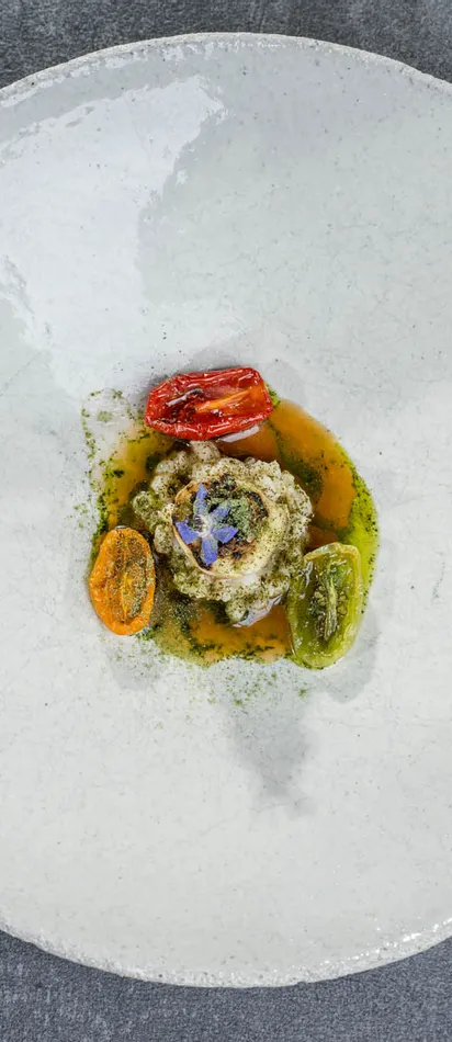 Gourmetgericht mit cremigem Aufstrich, Tomaten und Kräutersoße auf weißem Teller