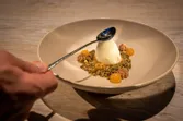 Leoganger yoghurt egg
