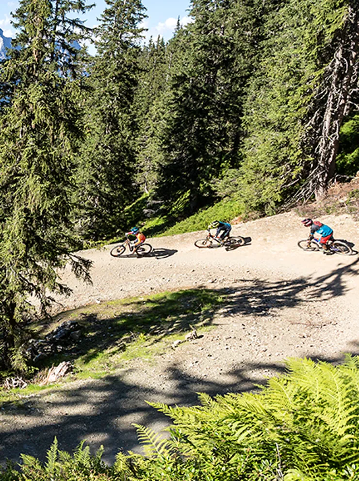 Hot Shots Biking in the region of Salzburg 