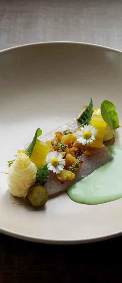 Gourmet dish with fish fillet, edible flowers, mashed potato, and green sauce being poured