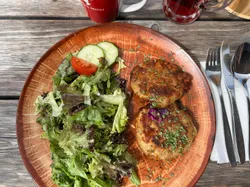 Vegetable patties with fresh green salad, tomato, and cucumber on a rustic brown plate