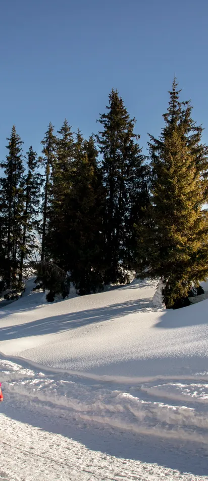 Two women hiking on a snowy alpine trail with evergreen trees and mountain views