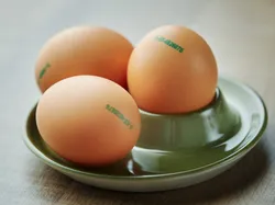 Three brown eggs with green stamps in a green ceramic egg holder on a wooden table
