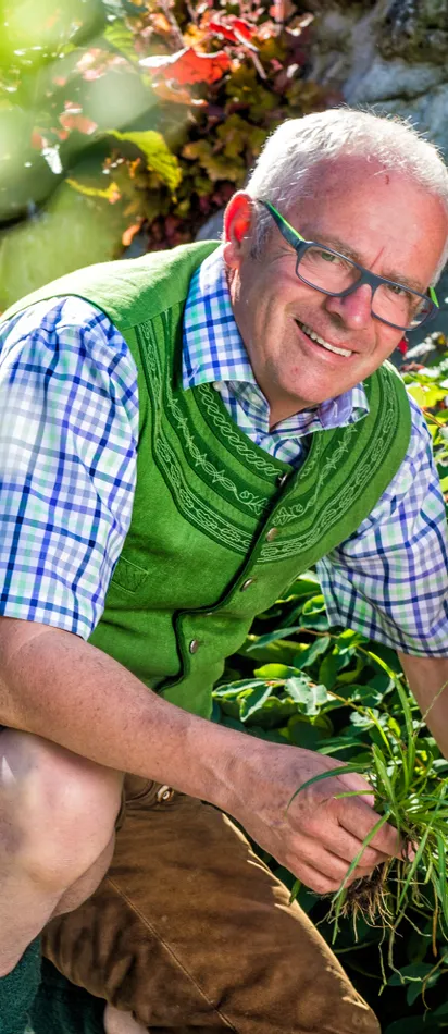 Senior man in traditional clothing gardening beside blooming pink lupines