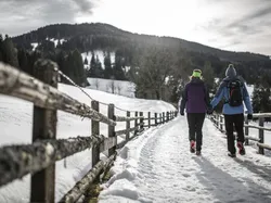 Couple hiking on snowy mountain trail with wooden fence and forest view