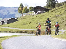 Vater und zwei Kinder fahren Mountainbike auf einem Weg durch die alpine Landschaft